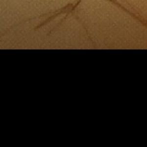 Meet your Posher, Ivan